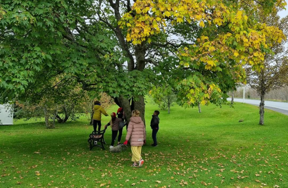 Matseðill - Mars/Apríl 2023