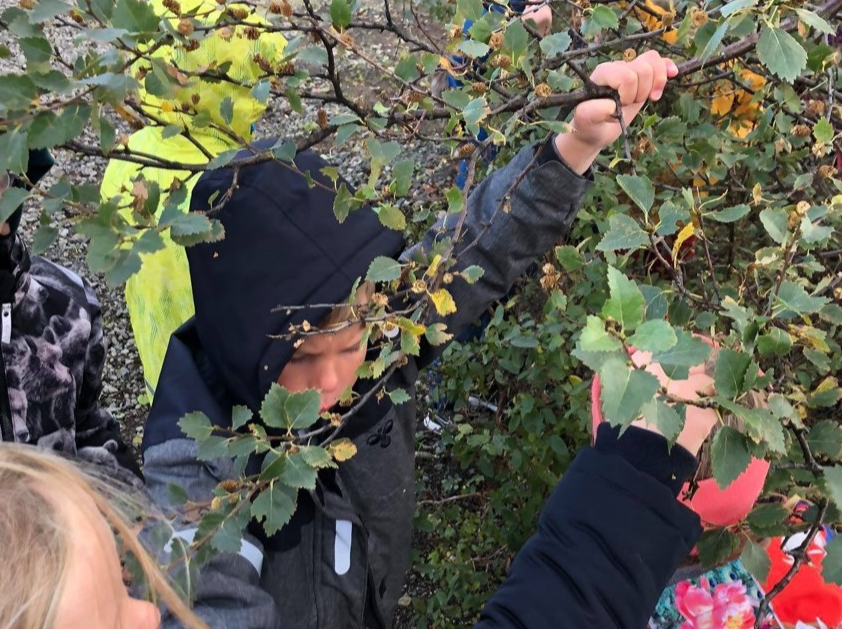 1. bekkir og árstíðirnar