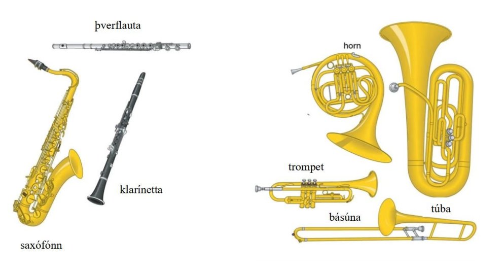 Tónlistarskóli Árnesinga kynnir