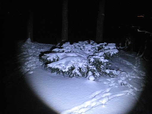 Vasaljósafriðargangan