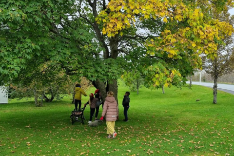 Matseðill - Mars/Apríl 2023