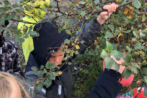 1. bekkir og árstíðirnar