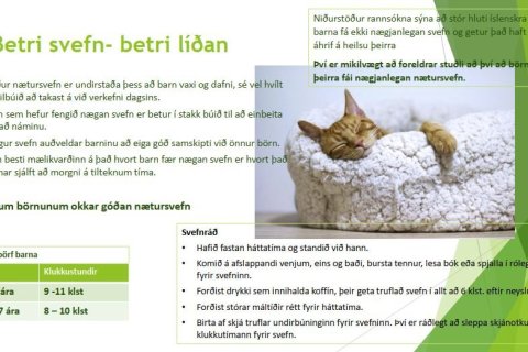 Heilsumolar - Mikilvægi svefns