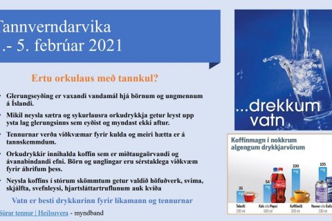 Tannverndarvika 1.-5. febrúar