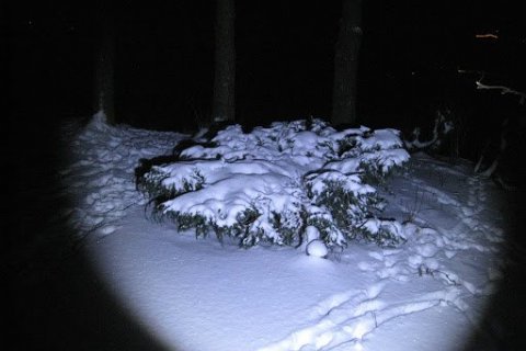 Vasaljósafriðargangan